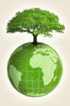 Environmental Policy
