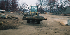 Log Yard